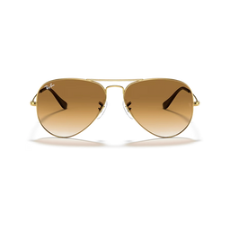 Ray-Ban RB3025 Sunglass