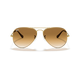 Ray-Ban RB3025 Sunglass