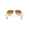 Ray-Ban RB3025 Sunglass