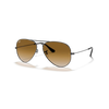 Ray-Ban RB3025 Sunglass