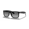 Ray-Ban RB4165 Unisex Sunglass