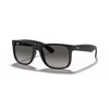 Ray-Ban RB4165 Unisex Sunglass