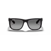Ray-Ban RB4165 Unisex Sunglass