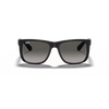 Ray-Ban RB4165 Unisex Sunglass