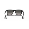 Ray-Ban RB4165 Unisex Sunglass