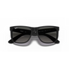 Ray-Ban RB4165 Unisex Sunglass