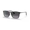 Ray-Ban RB4187 Unisex Sunglass