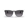 Ray-Ban RB4187 Unisex Sunglass