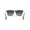 Ray-Ban RB4187 Unisex Sunglass