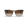 Ray-Ban RB4187 Unisex Sunglass