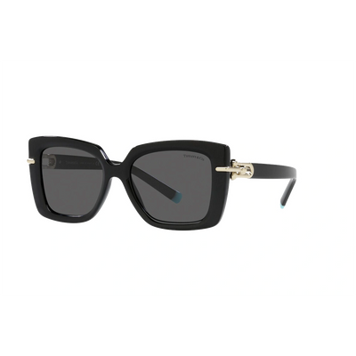 Tiffany TF4199 Sunglass