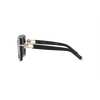 Tiffany TF4199 Sunglass