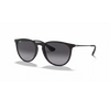 Ray-Ban 0RB4171  Unisex Sunglass