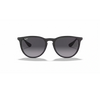 Ray-Ban 0RB4171  Unisex Sunglass