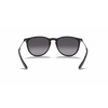 Ray-Ban 0RB4171  Unisex Sunglass