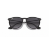 Ray-Ban 0RB4171  Unisex Sunglass