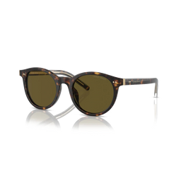 Giorgio Armani AR8199U 587973 S Women Sunglasses